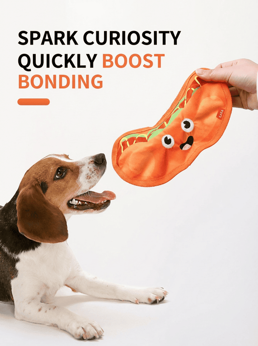 Clenching Grinding Teeth Pet Toy