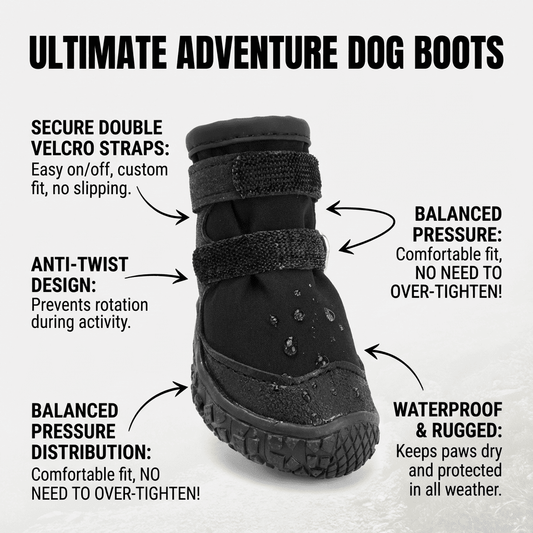 Waterproof Dog Boots 2025 New Design